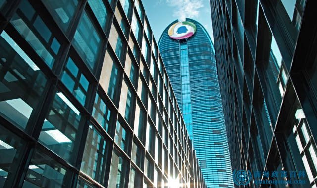 前海重點發展公司行業