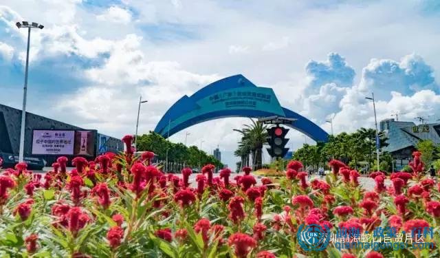 前海蛇口自貿區